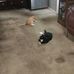 Doug Haggerty - Facebook