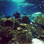 Doug Haggerty - @doughaggerty - Instagram