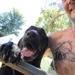 Doug Haggerty - @haggertydoug - Instagram