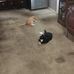 Doug Haggerty - Facebook