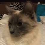 Doug Wukoson-Hahn - @therealdoog - Instagram