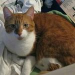 Lori Hallman Douglas - @hallmandouglas - Instagram