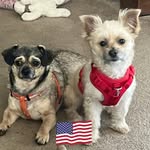 Doug Hamblin - @godsmarkers - Instagram