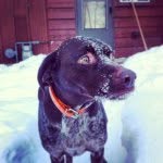 Doug Hamblin - @dhamblin1960 - Instagram