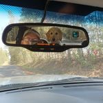 Doug Hammond - @doug.hammond.948 - Instagram