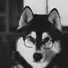 南翔不爱吃饭 - @douhandling - TikTok