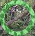 Doug Harrison - Facebook