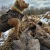 Doug Hardin - Facebook