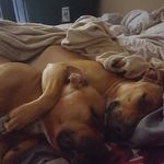 Doug Harding - @hardingdoug - Instagram