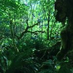 Doug Harding - @dharding620 - Instagram