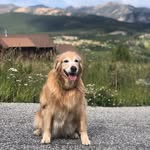 Doug Hare - @dougeedoug - Instagram