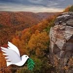 Douglas Harless - @dougharl422 - Instagram