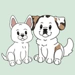 Harley & Doug - @harleyndoug - Instagram