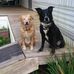 Doug Harner - Facebook