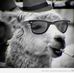 Doug Harold - Facebook