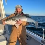 Doug Harold - @dougharold1962 - Instagram