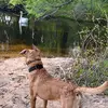 Doug Harrington - @dad_bodno_vid - TikTok