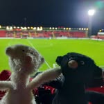 Doug&Harry - @groundhopping_baeren - Instagram