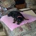 Doug Harshbarger - Facebook
