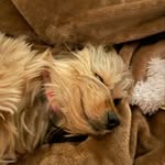 Doug Haskell - @hask_dug - Instagram