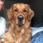Doug Hassinger - @hassingerdoug - Instagram