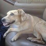 Doug Hatcher - @hatcherdoug - Instagram