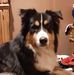 Doug Hatton - Facebook