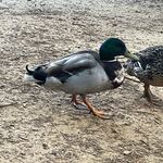 Doug Hawkes - @doughawkes - Instagram