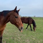 𝐻𝒶𝓌𝓀 & 𝒟𝑜𝓊𝑔 - @hawkanddoug - Instagram