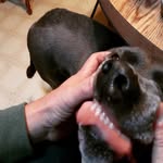 Doug Hawks - @hawks1doug - Instagram