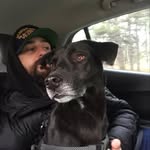 Doug The Head - @dougthehead1 - Instagram