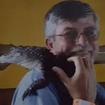 Doug Healey - @doug.healey.5 - Instagram