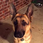 Doug Heck - @dgheck - Instagram