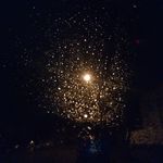 Robert Schneider - @doug_heffernan11 - Instagram