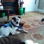 Doug Hefner - Facebook