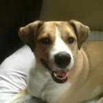 @doug.heldt - Instagram