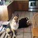 Doug Heller - Facebook