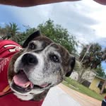 Doug Helm - @352noles - Instagram