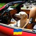 Doug Hertz - Facebook