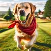 Dogs Season - @dogsseason - TikTok