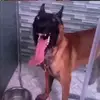 Douglinhas - @hey_douglas05 - TikTok
