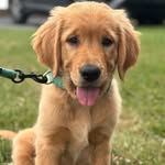 Douglas Cooper Allen - @hideriamdoug - Instagram