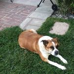 Doug Hodges - @doug.hodges.6 - Instagram