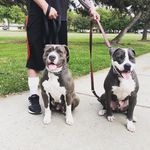 Doug Hodges - @dlincoln82 - Instagram