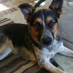 Doug Hodson - @hodsondoug - Instagram
