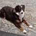 Doug Hodson - Facebook