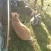Doug N Missy Holcomb - Facebook