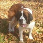 Doug N Missy Holcomb - @holcombdoug - Instagram