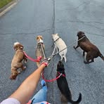 Doug Holder - Facebook