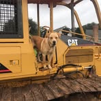 Doug Holder - Facebook